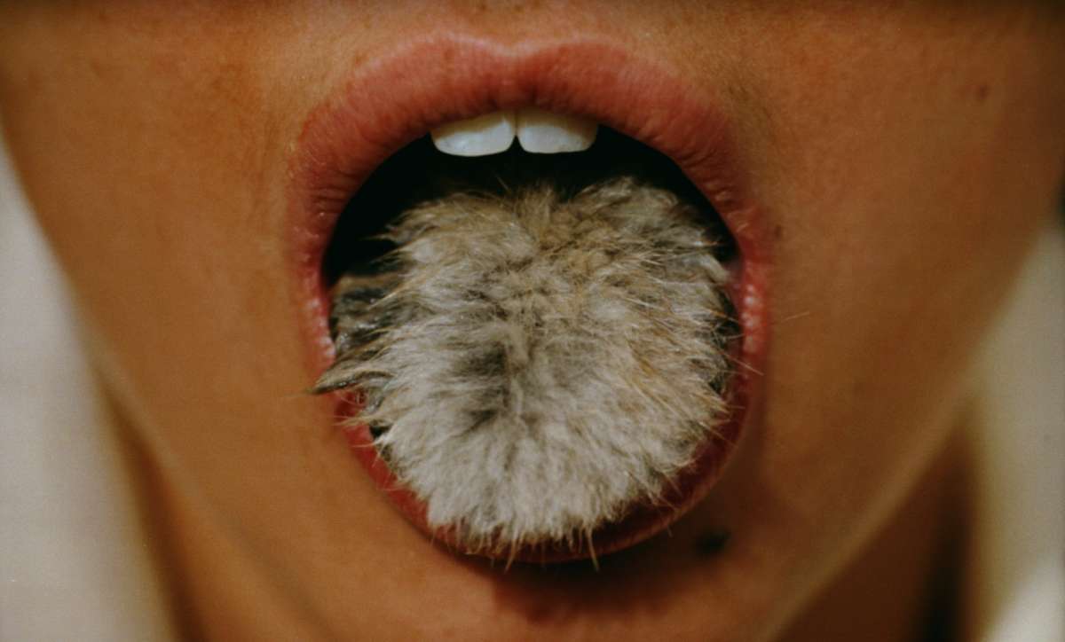 La Belle est la Bête, Regie: Bady Mink (2005) 