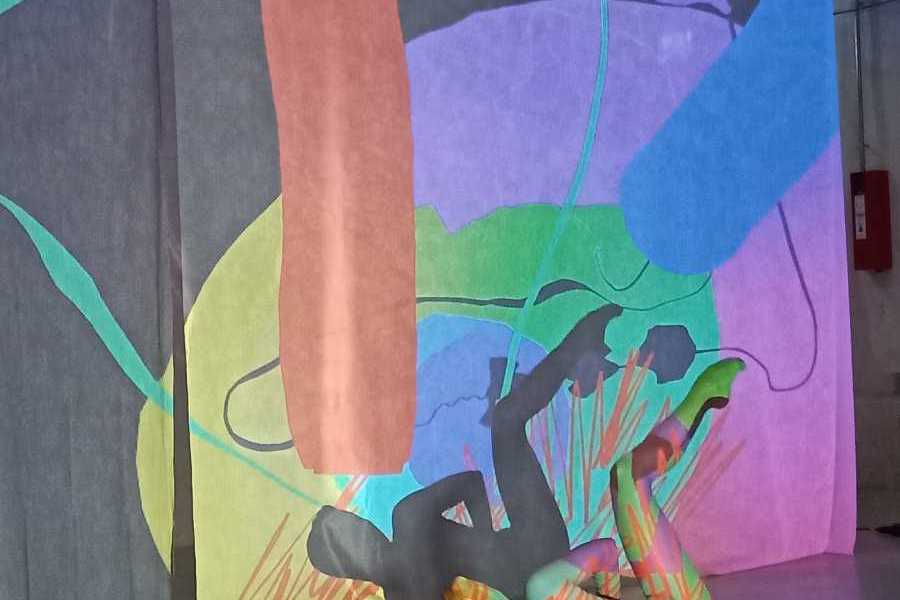 Dance and Music Performance beim CAMP Festival 2024